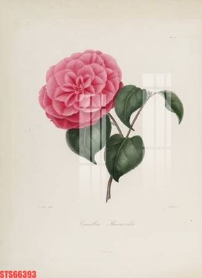 File tranh gốc Tranh sơn dầu phương tây tổng hợp STS66393 chủ đề hiện đại