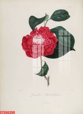 File ảnh Tranh sơn dầu phương tây tổng hợp STS66398 (gốc) in biển hiệu