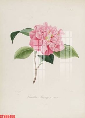 File gốc Tranh sơn dầu phương tây tổng hợp STS66400 (ảnh chi tiết) để in trần