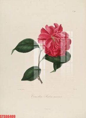 Download file Tranh sơn dầu phương tây tổng hợp STS66409 (gốc) in mica ốp bếp