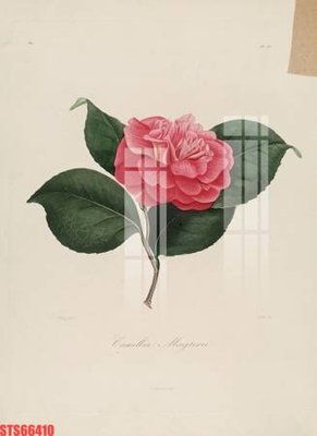 Tải về hình ảnh gốc Tranh sơn dầu phương tây tổng hợp STS66410 sắc nét