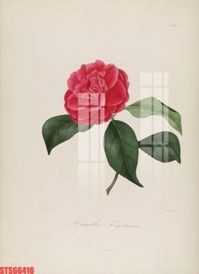 Tải file tranh gốc Tranh sơn dầu phương tây tổng hợp STS66416 chất lượng cao