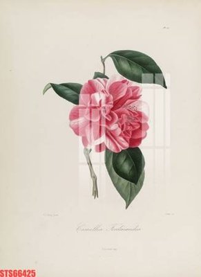 File ảnh Tranh sơn dầu phương tây tổng hợp STS66425 (gốc) in standee