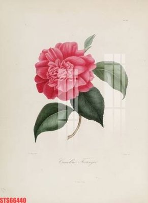 File tranh Tranh sơn dầu phương tây tổng hợp STS66440 (bản gốc) in lụa 3D