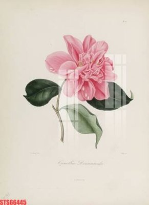 Download file Tranh sơn dầu phương tây tổng hợp STS66445 (gốc) cho xưởng in