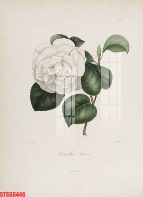 Mua file gốc Tranh sơn dầu phương tây tổng hợp STS66446 (PSD) tại Filetranh.com