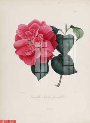 Tải file tranh Tranh sơn dầu phương tây tổng hợp STS66448 (ảnh gốc) ngay