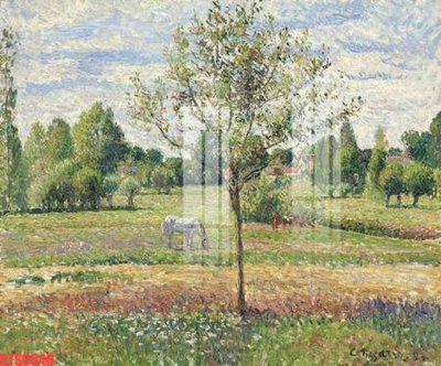 Ảnh gốc Tranh sơn dầu phương tây tổng hợp STS6646 (độ nét cao) in mica