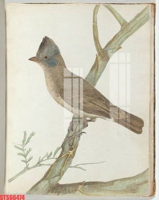 File tranh in trần Tranh sơn dầu phương tây tổng hợp STS66474 (ảnh gốc siêu nét)