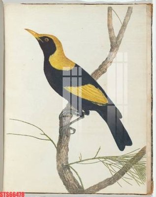 File gốc Tranh sơn dầu phương tây tổng hợp STS66478 (in lụa) cao cấp