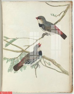 File gốc Tranh sơn dầu phương tây tổng hợp STS66486 (in lụa) tranh phong thủy