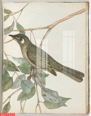 File gốc Tranh sơn dầu phương tây tổng hợp STS66490 (thiết kế) độc quyền