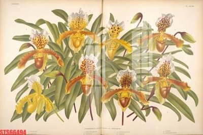 File gốc Tranh sơn dầu phương tây tổng hợp STS66494 (ảnh rõ nét) để in