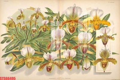 Tải file Tranh sơn dầu phương tây tổng hợp STS66495 (ảnh gốc) in gạch 3D