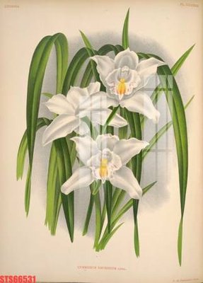 File PSD Tranh sơn dầu phương tây tổng hợp STS66531 (gốc) nhiều lớp (multi-layer)