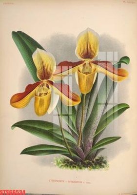 Tải file Tranh sơn dầu phương tây tổng hợp STS66534 (ảnh gốc) in gạch men