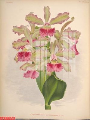 Ảnh gốc Tranh sơn dầu phương tây tổng hợp STS66537 (độ nét cao) in mica