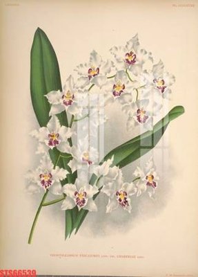 File tranh in trần 3D Tranh sơn dầu phương tây tổng hợp STS66539 (ảnh gốc)