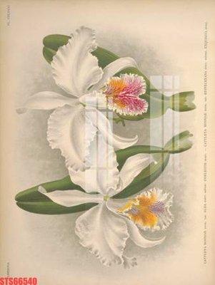 File ảnh Tranh sơn dầu phương tây tổng hợp STS66540 (gốc) cho trang trí nhà hàng