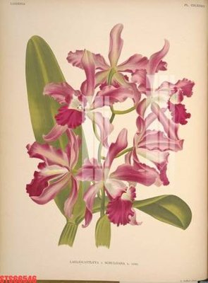 File tranh Tranh sơn dầu phương tây tổng hợp STS66546 (bản gốc) treo quán cafe