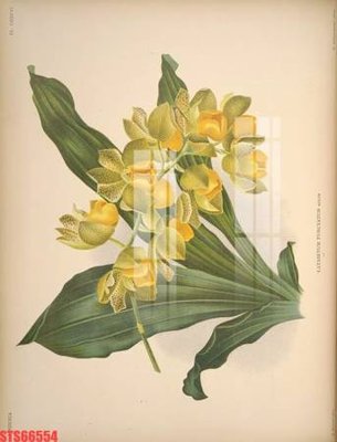 Download file gốc Tranh sơn dầu phương tây tổng hợp STS66554 (in mica) logo