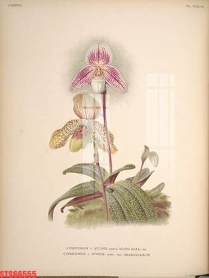 File gốc Tranh sơn dầu phương tây tổng hợp STS66555 (in mica) làm bảng hiệu