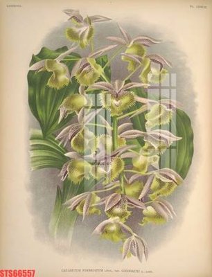 Tải về file tranh gốc Tranh sơn dầu phương tây tổng hợp STS66557 (để in quảng cáo)