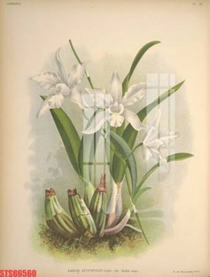 Tải file tranh Tranh sơn dầu phương tây tổng hợp STS66560 (gốc) tại Filetranh.com