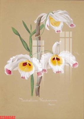 File in lụa Tranh sơn dầu phương tây tổng hợp STS66582 (hoa văn) Tranh sơn dầu phương tây tổng hợp STS66582