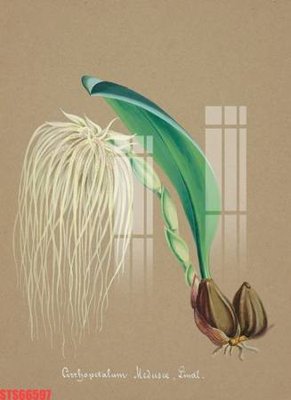 Tải file Tranh sơn dầu phương tây tổng hợp STS66597 (gốc) để in ấn ngay