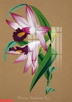 File tranh gốc in trần nhà Tranh sơn dầu phương tây tổng hợp STS66613 3D