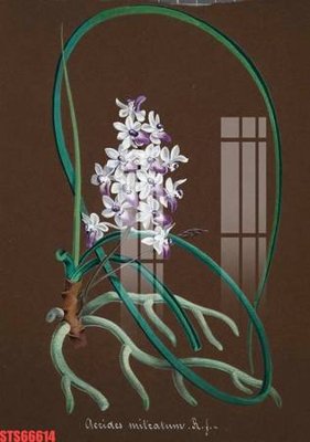 File tranh Tranh sơn dầu phương tây tổng hợp STS66614 (bản gốc) in lụa 5D