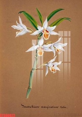 File gốc Tranh sơn dầu phương tây tổng hợp STS66622 (trang trí) phòng làm việc