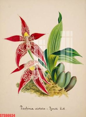 Mua file gốc Tranh sơn dầu phương tây tổng hợp STS66634 (chất lượng) tại Filetranh.com