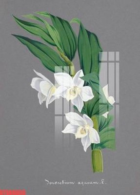 Download file gốc Tranh sơn dầu phương tây tổng hợp STS66655 (in lụa) hoa lá