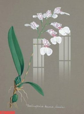 File gốc Tranh sơn dầu phương tây tổng hợp STS66660 (in ấn) không giới hạn