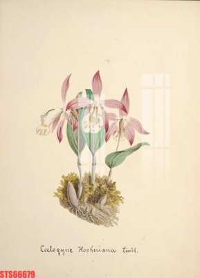 Tải file gốc Tranh sơn dầu phương tây tổng hợp STS66679 (in tráng gương) cao cấpFile gốc Tranh sơn dầu phương tây tổng hợp STS66679 (in ấn) phiên bản độc quyền