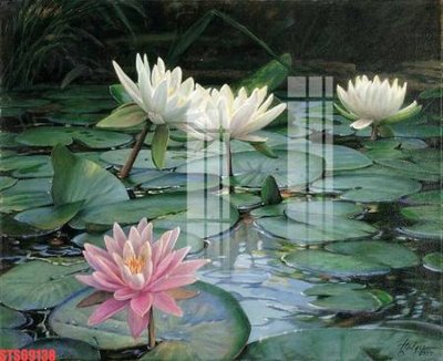 File in ấn chuyên nghiệp Tranh sơn dầu phương tây tổng hợp STS69138 (file gốc)