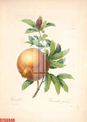 File gốc Tranh sơn dầu phương tây tổng hợp STS6948 (in ấn) màu sắc trung thực