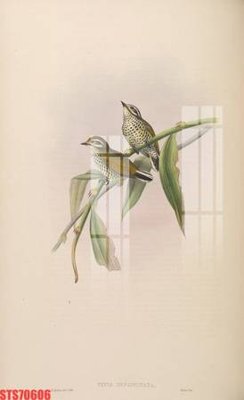 Tải file gốc Tranh sơn dầu phương tây tổng hợp STS70606 (bản PSD) chỉnh sửa được