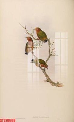 Tệp tin gốc Tranh sơn dầu phương tây tổng hợp STS70608 (chất lượng) Tranh sơn dầu phương tây tổng hợp STS70608