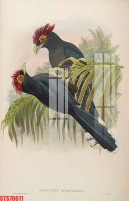 Download file Tranh sơn dầu phương tây tổng hợp STS70611 (chất lượng in ấn)