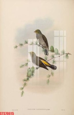 File tranh Tranh sơn dầu phương tây tổng hợp STS70615 (gốc) phong cách tối giản