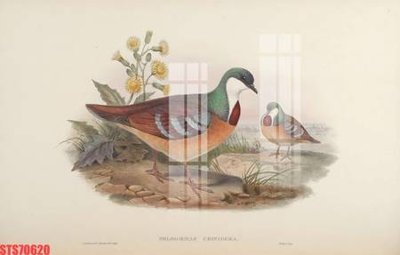 File PSD Tranh sơn dầu phương tây tổng hợp STS70620 (bản gốc) cho nhà in