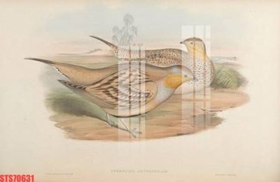 File tranh Tranh sơn dầu phương tây tổng hợp STS70631 (bản gốc) trang trí văn phòng