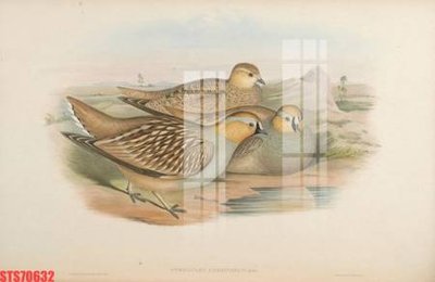 File ảnh gốc Tranh sơn dầu phương tây tổng hợp STS70632 không vỡ nét