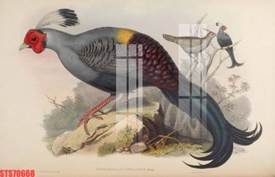 File tranh Tranh sơn dầu phương tây tổng hợp STS70668 (bản gốc) treo quán cafe