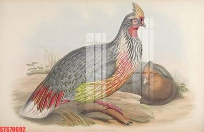 Tải về file gốc Tranh sơn dầu phương tây tổng hợp STS70692 (dùng cho in quảng cáo)