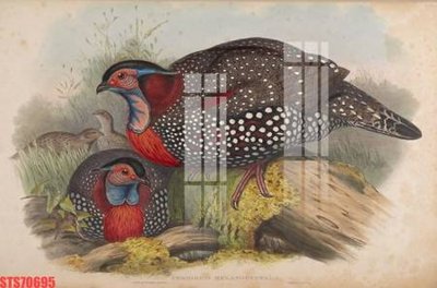 Tải file gốc Tranh sơn dầu phương tây tổng hợp STS70695 (bản PSD) đầy đủ layer