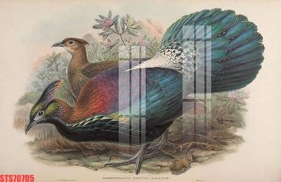 Tải file tranh gốc Tranh sơn dầu phương tây tổng hợp STS70705 chất lượng cao